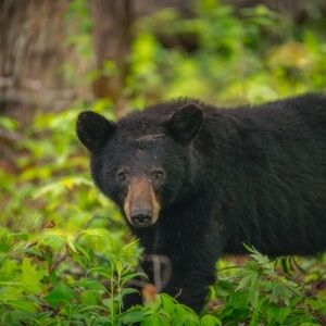 Meet your Posher, Marrissa